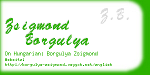 zsigmond borgulya business card